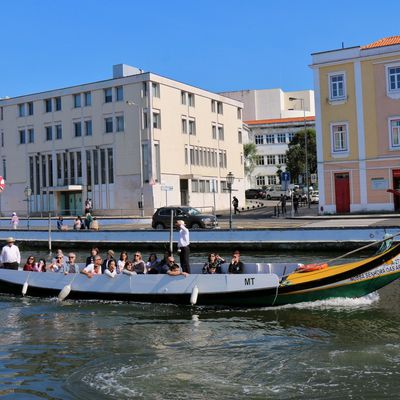 Les Moliceiros aux allures de gondole, Aveiro (Portugal)