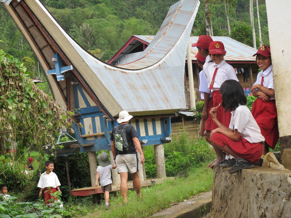 Album - 30---Centre-Sulawesi---Toraja