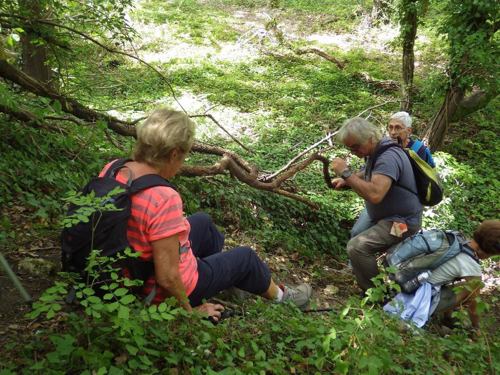 Descente périlleuse mais on est sur le bon chemin !