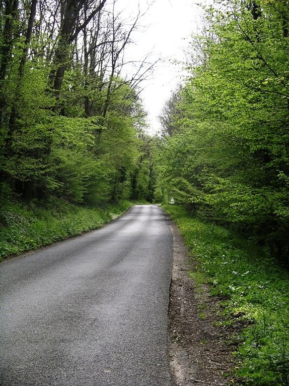 De Paris au Pays Basque...