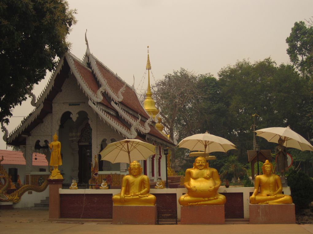 Album - THAILANDE---Chang-Mai---Trip-moto