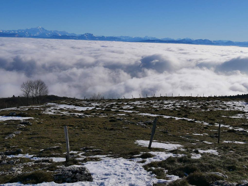 Grand Colombier 1524m - (Jura)