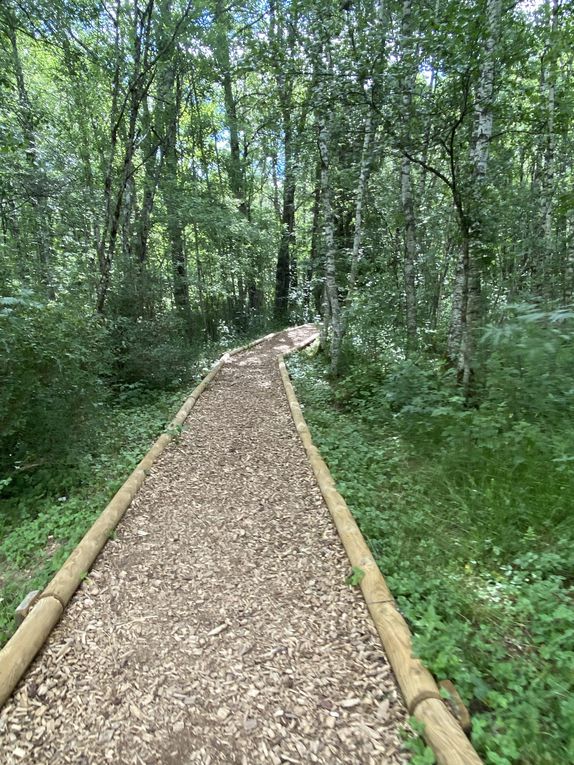 Le chemin des Tourbières, Les Ponts-de-Martel