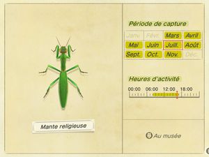 Les insectes (New Horizons) : 