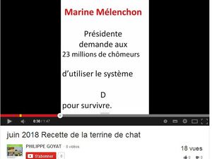 Européennes : l’UDI nous explique comment réaliser une terrine de chats