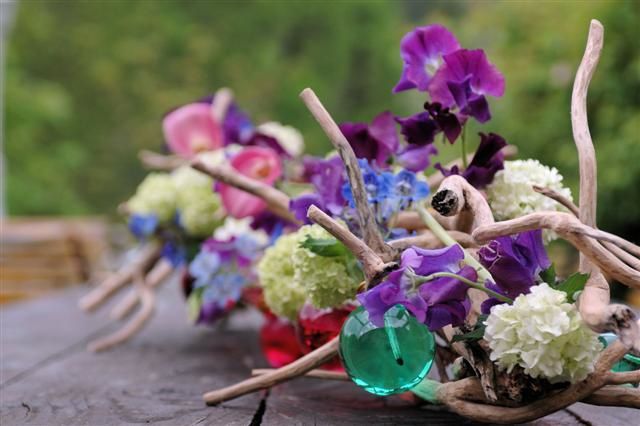 farandole de fleurs en couleurs