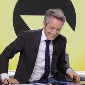 Une équipe de "Quotidien" malade lors d'un vol en apesanteur, Yann Barthès amusé