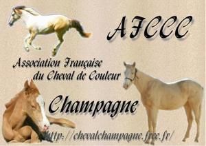 Association du cheval de couleur champagne