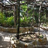 le jardin Donabo Gardens à Tanger (6 photos) - Le blog de Bernard Moutin