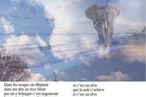 un éléphant dans les nuages