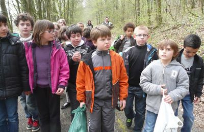 Les CE2 à la découverte des poissons (première sortie).