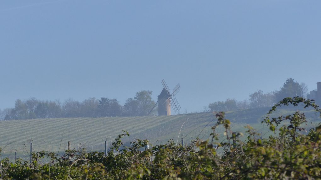 5 Avril, de Saint-Maixant à Verdelais