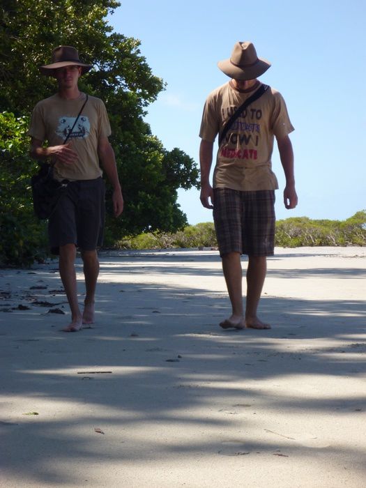 Remonte au Cape York depuis Cairns.
plage, 4x4 et Gunshot au programme!