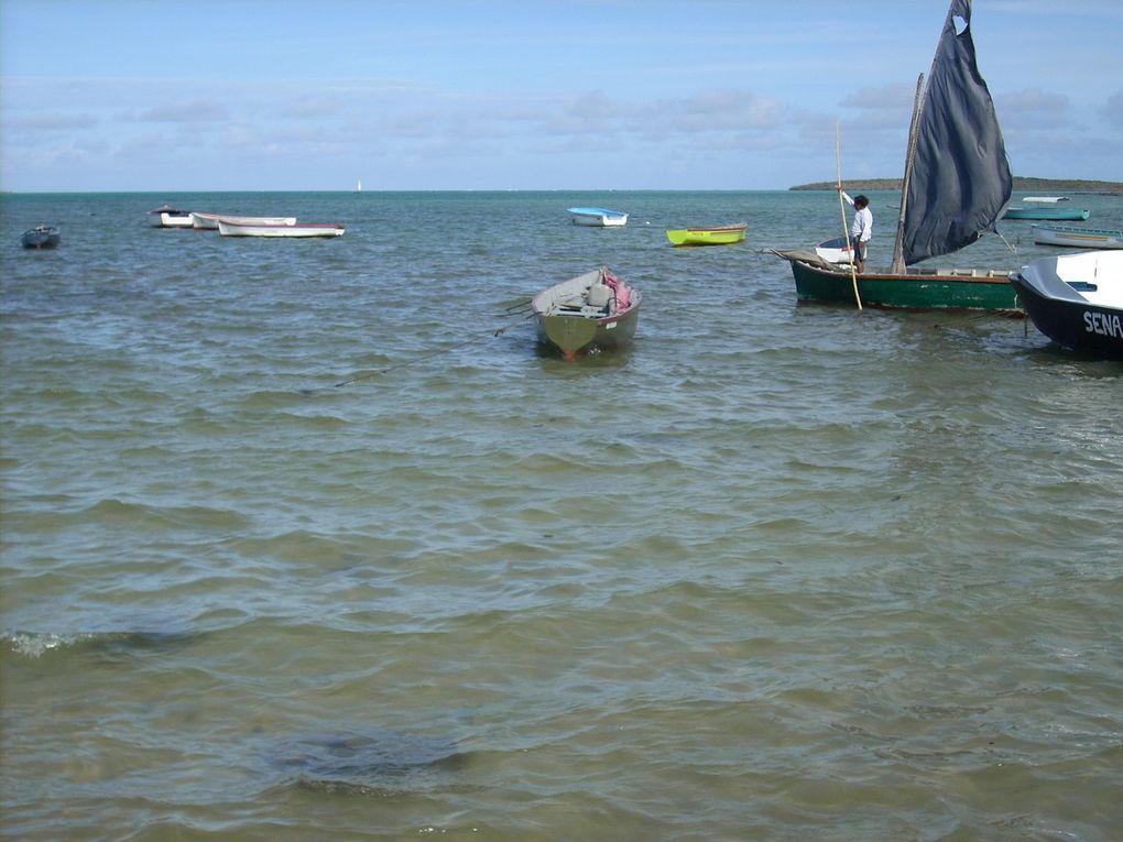 Photos prises lors de notre séjour sur l'ile Maurice.