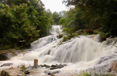 Dalat 