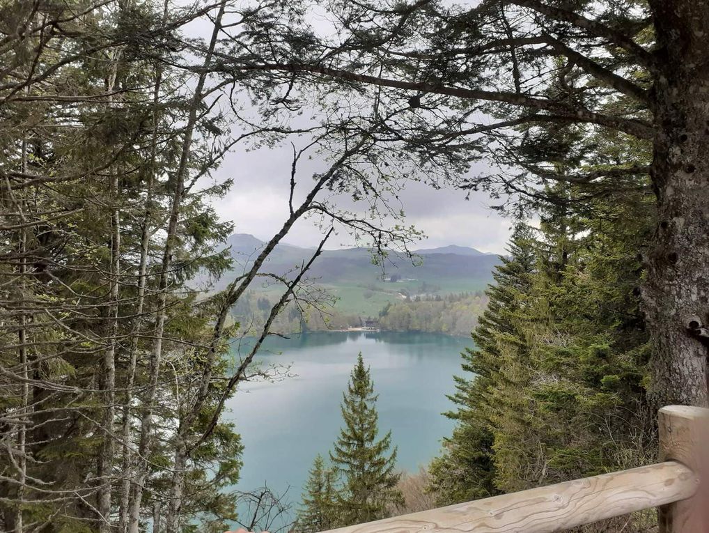 Classe de découvertes : JOUR 4 : en route pour le Château de Murol et lac Pavin