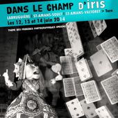 Festival photographique 2015 "Dans le champ d'iris"