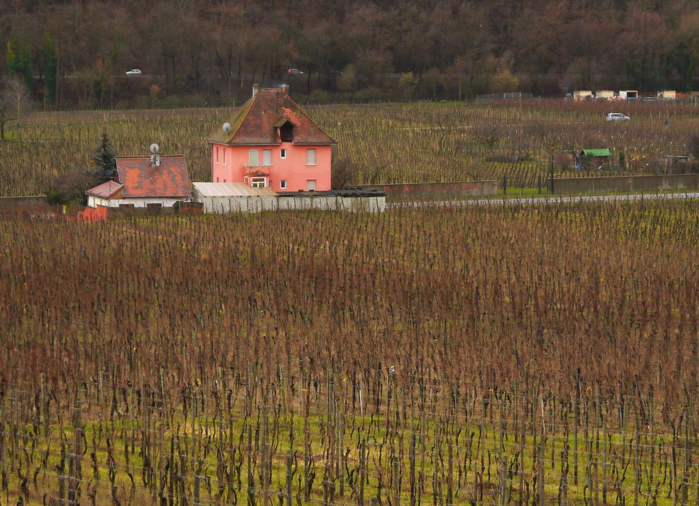 Le circuit classique entre Kaysersberg, Ammerschwihr et Kientzheim.

23 janvier 2012