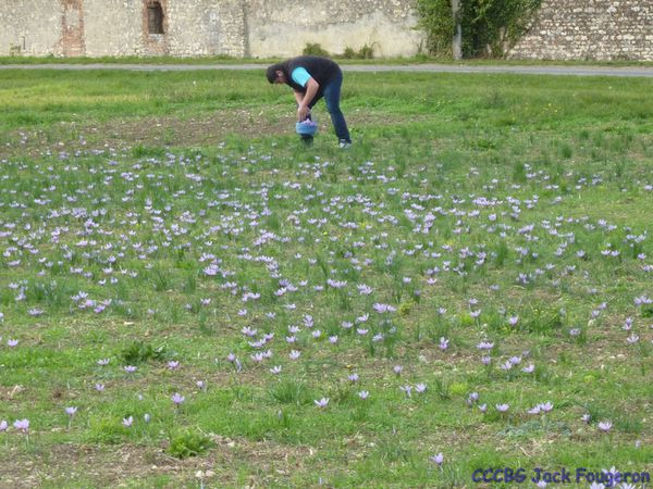 Promenade dans le Loiret 2016, Camping-car-club-Beauce-Gâtinais