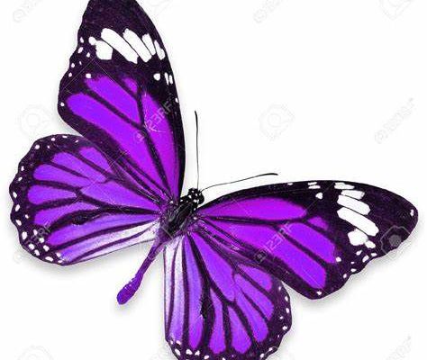 Une journée en WW Violet 💜 Journée 11