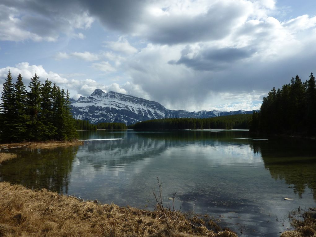 Les Grandes Prairies entre le Manitoba, la Saskatchewan et l'Alberta... et les fascinantes Montagnes Rocheuses avec leurs parcs nationaux...