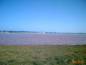 Album - Mauritanie-Senegal