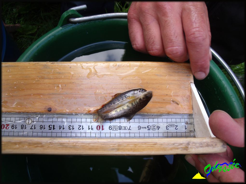 28 Août 2012, avec la fédération de pêche