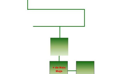 Ocarina of Time SOLUTION BOIS PERDUS ET BOSQUET SACRE