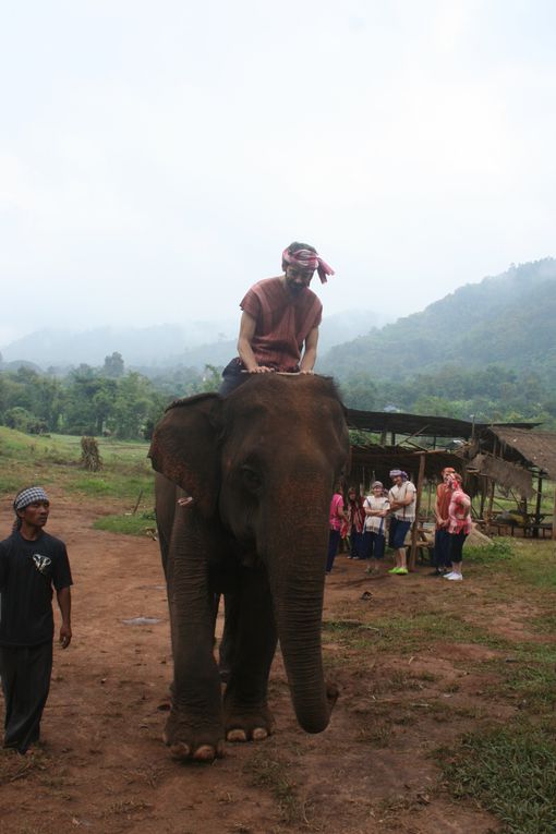 Depart pour le Nord Thailande.
Escale "obligee" a Chiang Mai. Visie de temples, nombreux dans la vieille ville. Training d'elephants.- Pai reggae fest