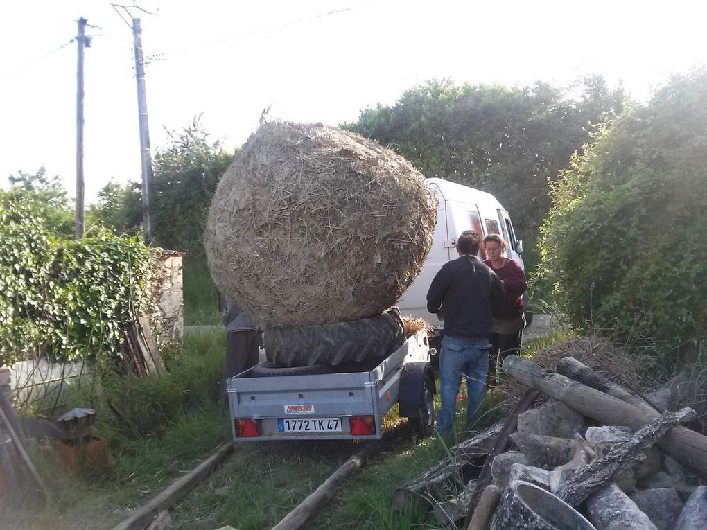 Au début était une boule et par gravité c'est devenu glandiose'