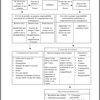 Gestion de conflit : 1 schéma de positionnement émotionnel gagnant 