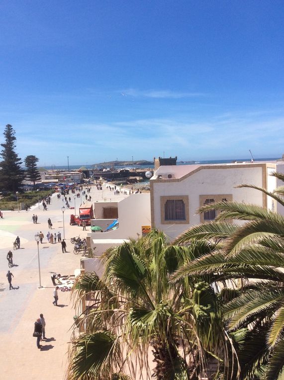 Ballade à Essaouira 