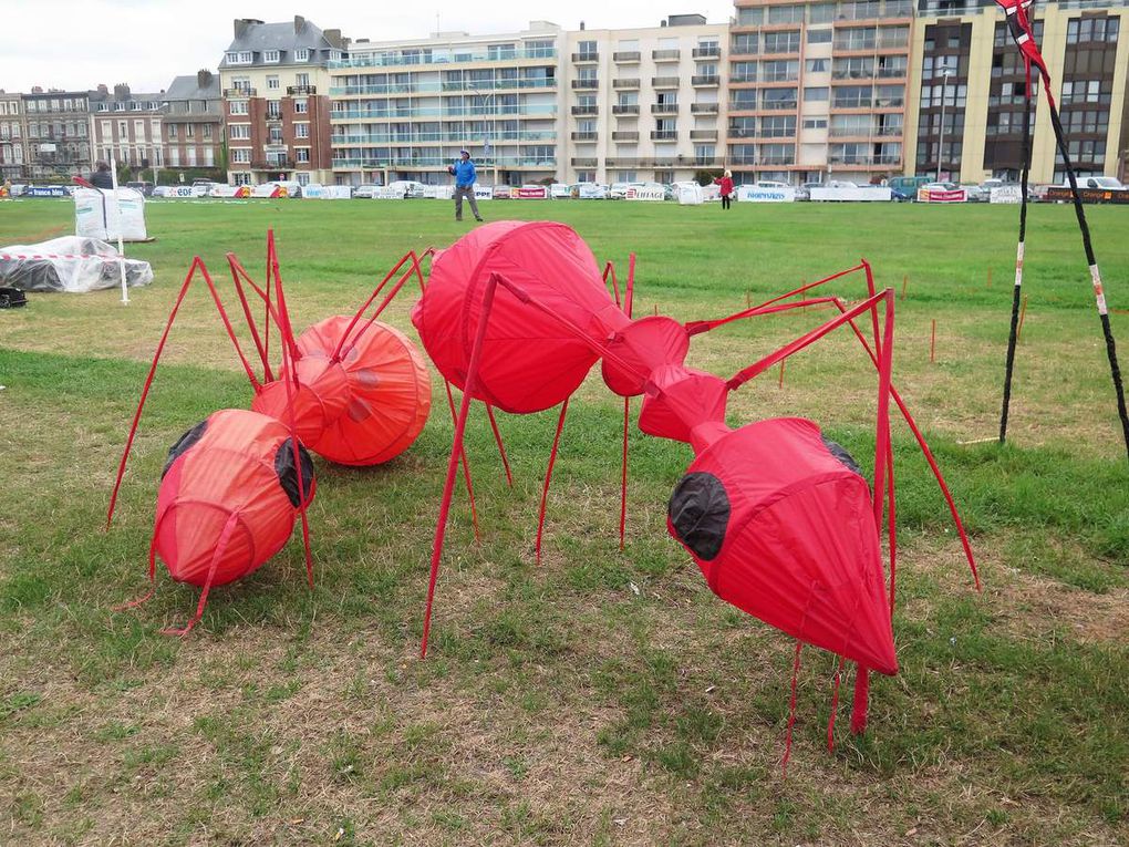 Cerfs-volants à Dieppe