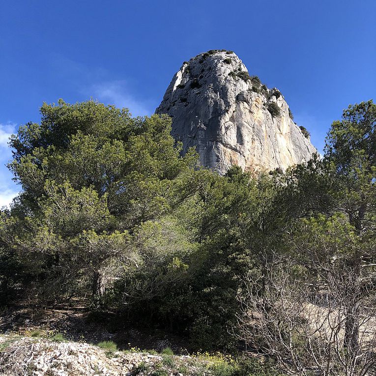 Lafare Le tour des dentelles de Montmirail Le 02 04 2023 Animateur Vincent R