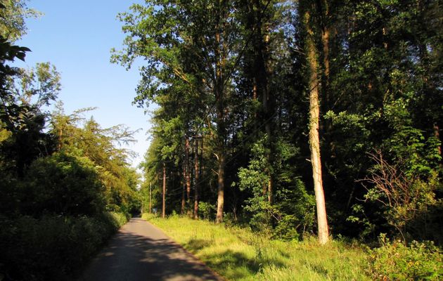 le Chemin du Vivier du Grès et la Route de la Fontaine à Baril