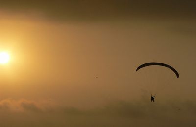 De L’habitude à l’Activité