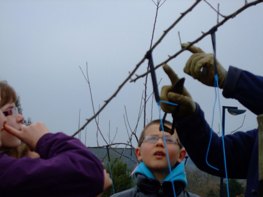 Cours sur la taille des arbres fruitiers 