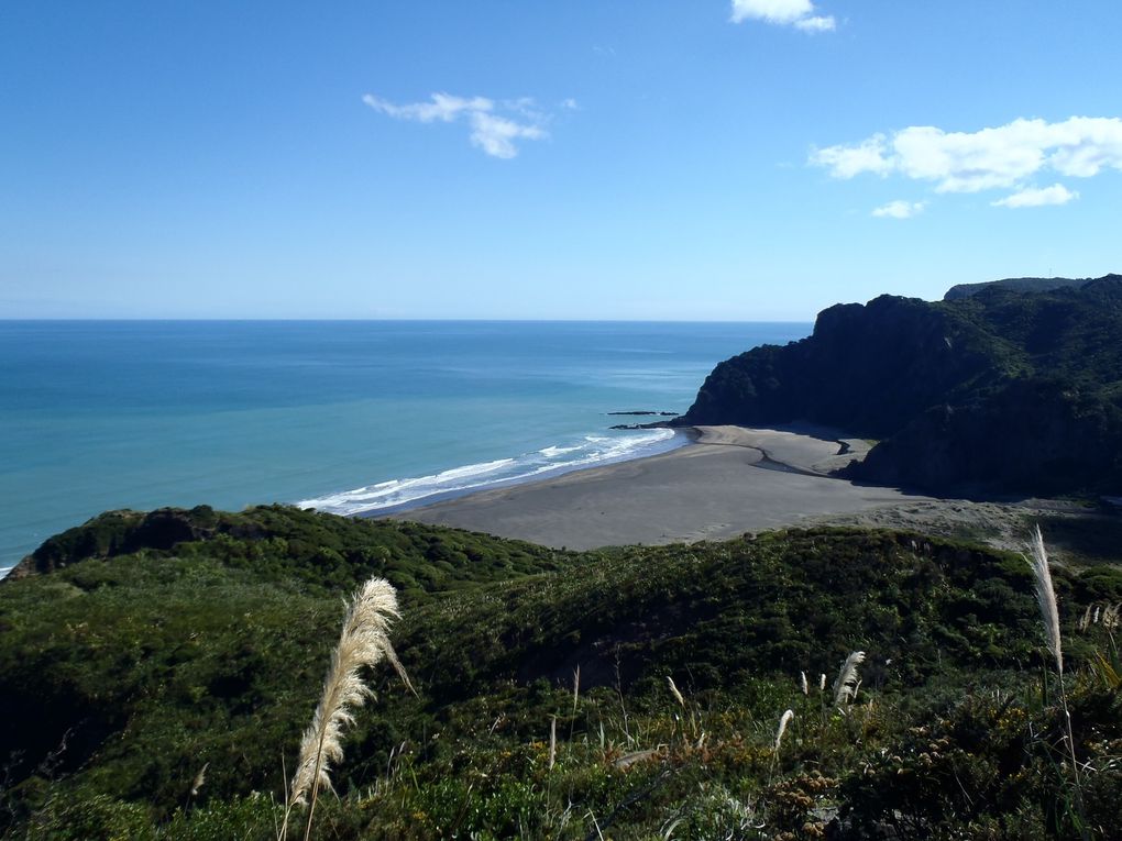 Album - A9 NEW ZEALAND NORTH ISLAND 2