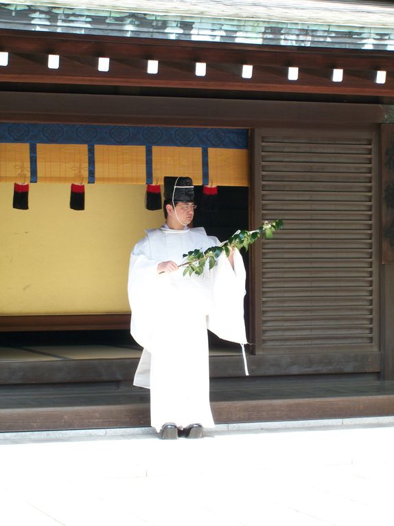 Cette compétition internationale de Kyudo (tir à l'arc japonais) avait lieu dans le dojo du jardin Yoyogi, où se trouve l'un des plus beaux temples shinto de Tokyo, le Meiji Jingu, qui est en photo au début de l'album.