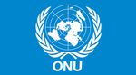 L’ASSEMBLEE GENERALE DE L’ONU VOTE l’ADMISSION DE L’ETAT DE PALESTINE ET REHAUSSE SON STATUT D’OBSERVATEUR