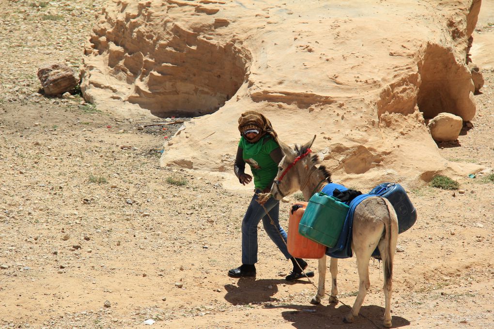 La Jordanie est un pays du Moyen-Orient entouré par la Syrie au nord, l'Irak au nord-est, l'Arabie saoudite à l'est et au sud, et enfin Israël et la Cisjordanie à l'ouest.