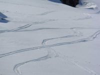 Le Gros Crey, le Crey Aigu, le Mont Falcon. Des animaux sauvages et des traces dans la neige.