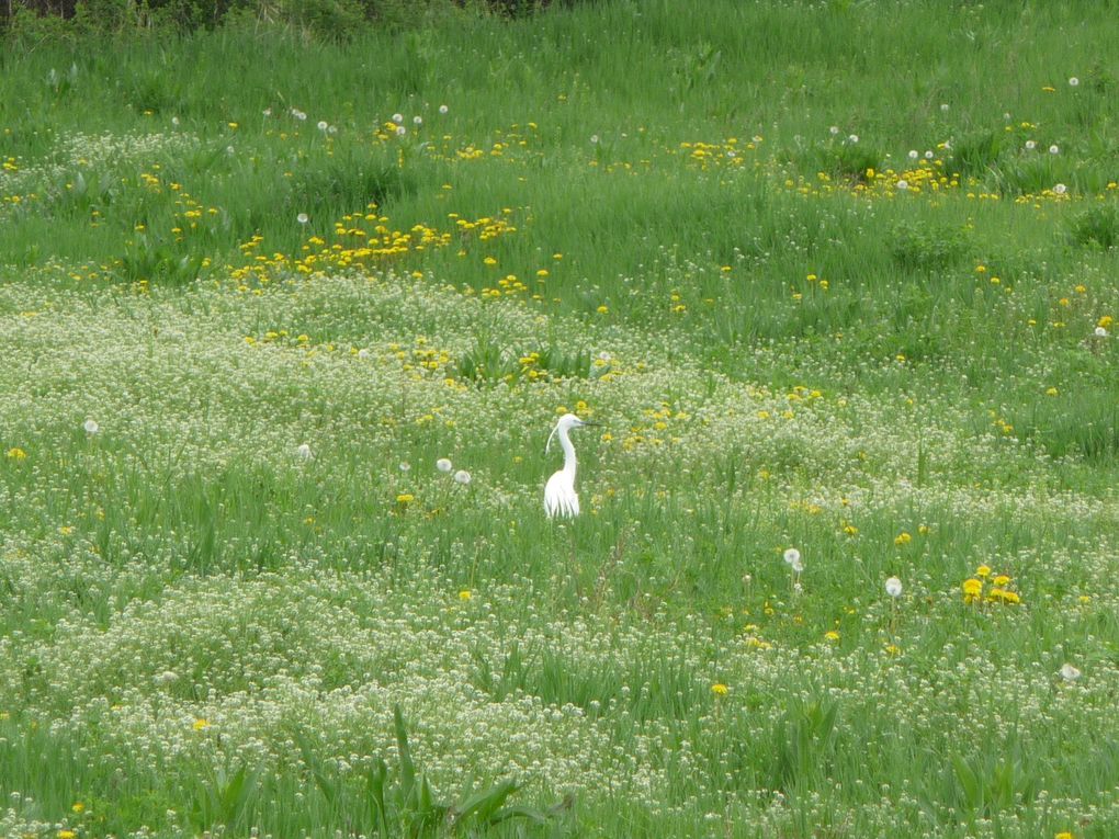 Album - 3- Rencontres sur la route