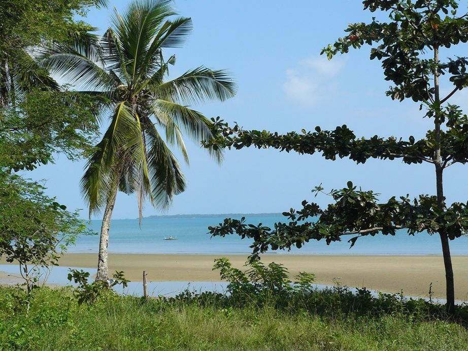 Album - Les-Philippines---Palawan