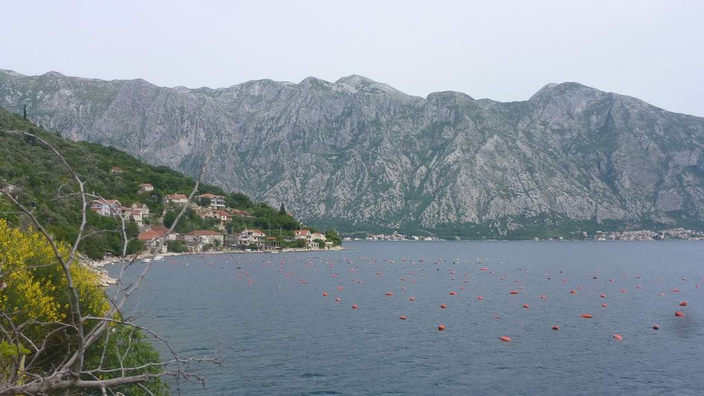 petite halte à Perast avec vue sur les bouches de Kotor