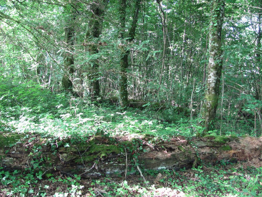 COLLECTIF FIL ROUGE 2019 Jardin D'Hélys-Oeuvre - Saint-Médard D'Excideuil - Dordogne - TOMBEZ DANS LE PANNEAU