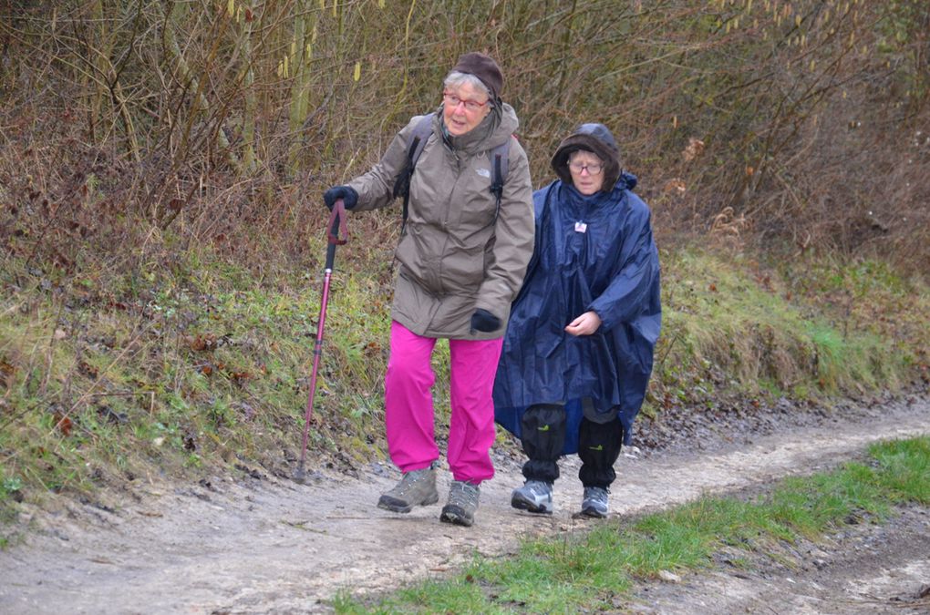 Départ le long de la Mauldre, beaucoup d'eau dans le cours d'eau mais pas que ... 