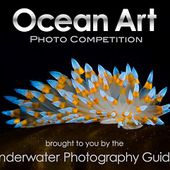 2015 Ocean Art Contest Winners