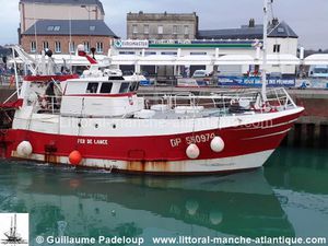 FER DE LANCE DP.550974    IMO.8542468  [1]