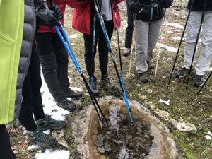 la glace emprisonne les feuilles de chêne 